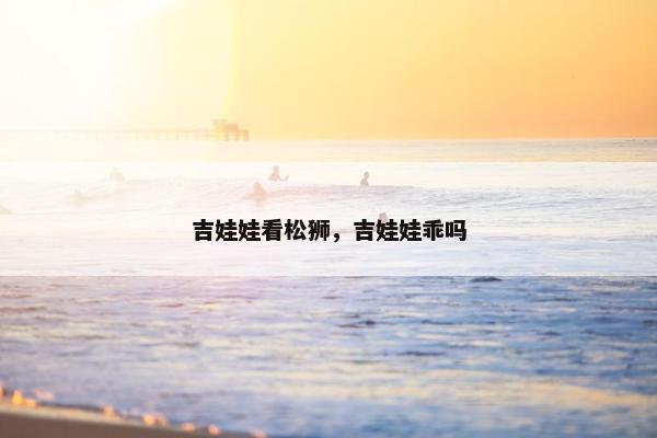 吉娃娃看松狮，吉娃娃乖吗