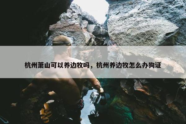 杭州萧山可以养边牧吗，杭州养边牧怎么办狗证