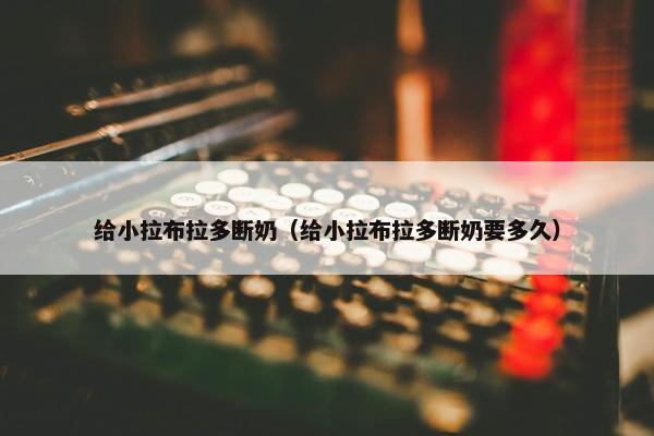给小拉布拉多断奶（给小拉布拉多断奶要多久）