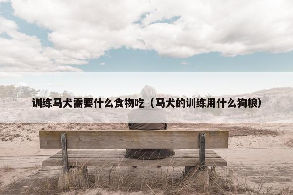训练马犬需要什么食物吃(马犬的训练用什么狗粮)