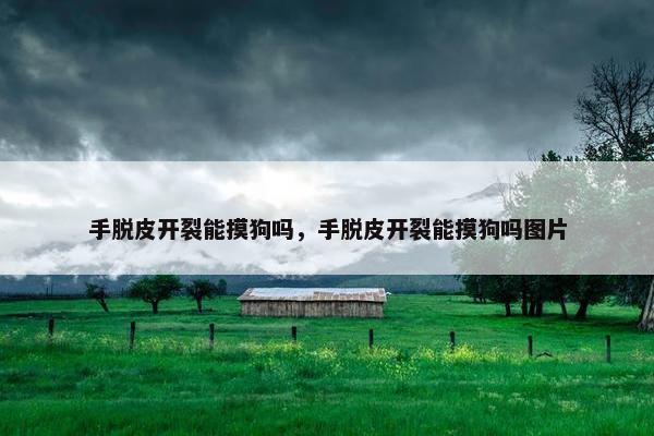 手脱皮开裂能摸狗吗,手脱皮开裂能摸狗吗图片 手脱皮开裂能摸狗吗,手脱皮开裂能摸狗吗图片