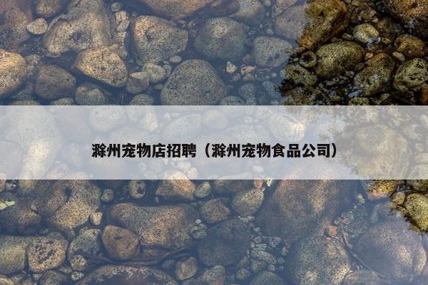 滁州宠物店招聘（滁州宠物食品公司）