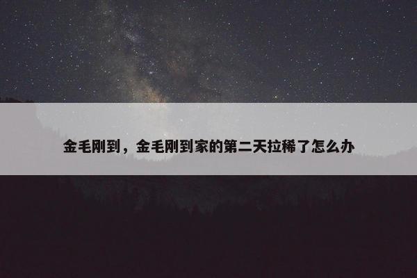 金毛刚到，金毛刚到家的第二天拉稀了怎么办