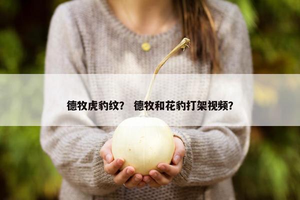 德牧虎豹纹？ 德牧和花豹打架视频？
