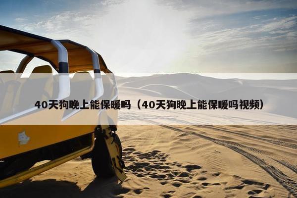 40天狗晚上能保暖吗（40天狗晚上能保暖吗视频）