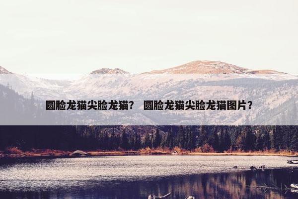 圆脸龙猫尖脸龙猫? 圆脸龙猫尖脸龙猫图片? 圆脸龙猫尖脸龙猫? 圆脸龙猫尖脸龙猫图片?