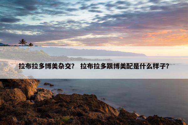 拉布拉多博美杂交? 拉布拉多跟博美配是什么样子? 拉布拉多博美杂交? 拉布拉多跟博美配是什么样子?