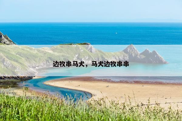 边牧串马犬，马犬边牧串串