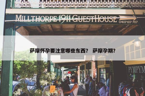 萨摩怀孕要注意哪些东西？ 萨摩孕期？