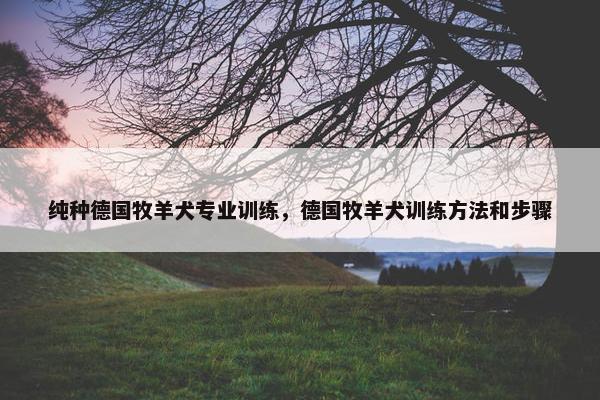 纯种德国牧羊犬专业训练，德国牧羊犬训练方法和步骤