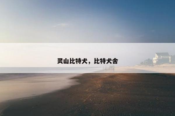 灵山比特犬，比特犬舍