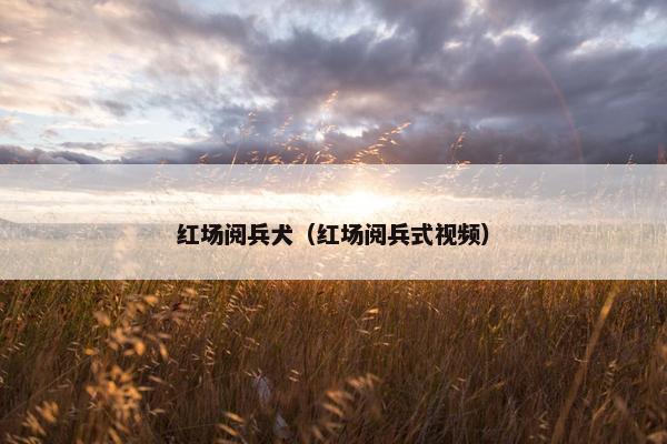 红场阅兵犬（红场阅兵式视频）