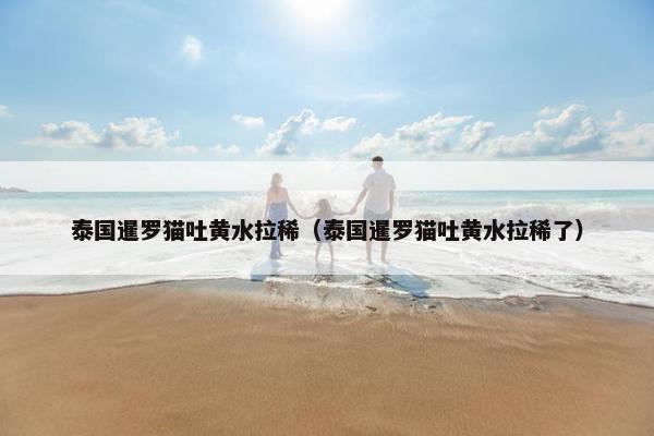 泰国暹罗猫吐黄水拉稀（泰国暹罗猫吐黄水拉稀了）