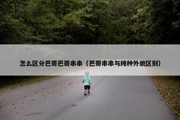 怎么区分巴哥巴哥串串（巴哥串串与纯种外貌区别）