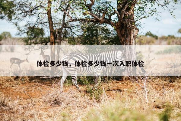 体检多少钱，体检多少钱一次入职体检