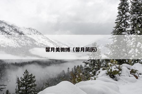馨月美微博（馨月简历）