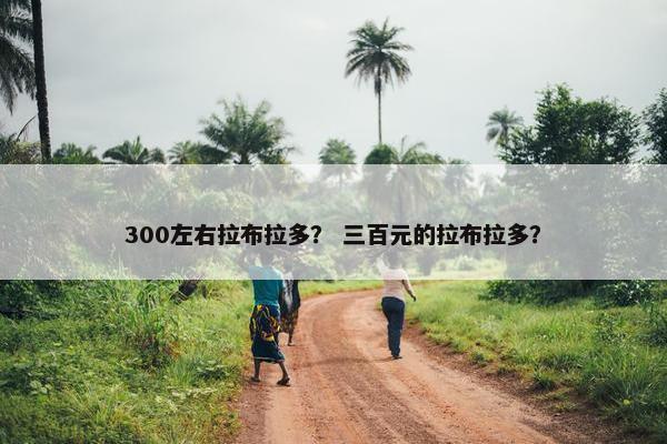 300左右拉布拉多？ 三百元的拉布拉多？