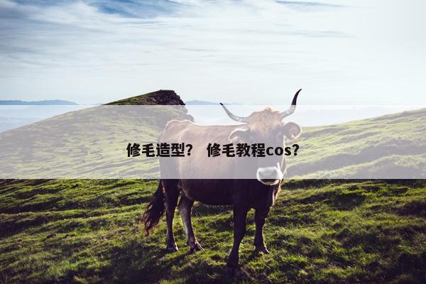修毛造型？ 修毛教程cos？