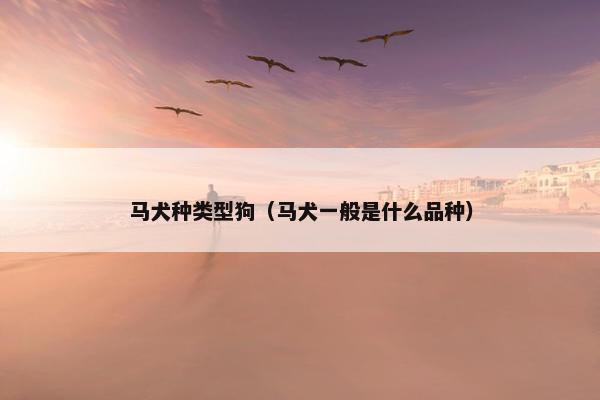 马犬种类型狗（马犬一般是什么品种）