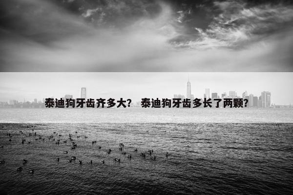 泰迪狗牙齿齐多大？ 泰迪狗牙齿多长了两颗？