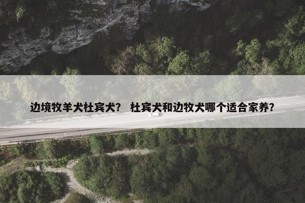 边境牧羊犬杜宾犬？ 杜宾犬和边牧犬哪个适合家养？