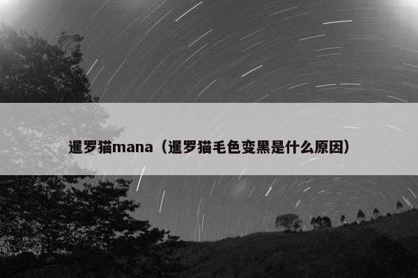 暹罗猫mana（暹罗猫毛色变黑是什么原因）