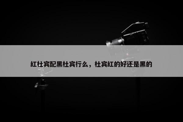 红杜宾配黑杜宾行么，杜宾红的好还是黑的