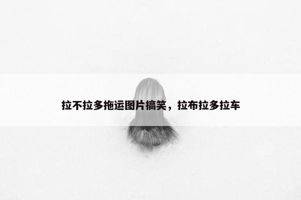 拉不拉多拖运图片搞笑，拉布拉多拉车