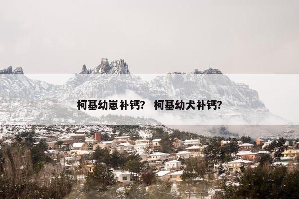 柯基幼崽补钙？ 柯基幼犬补钙？