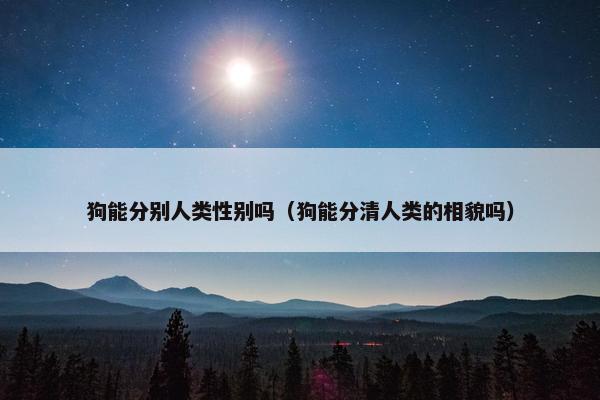 狗能分别人类性别吗（狗能分清人类的相貌吗）