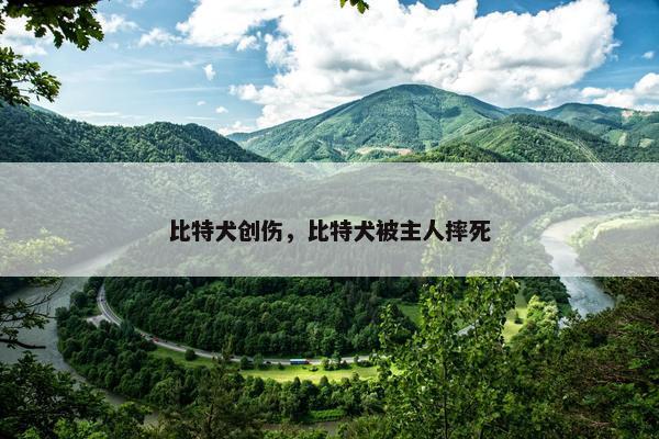 比特犬创伤，比特犬被主人摔死