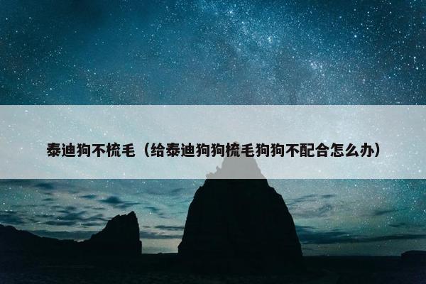 泰迪狗不梳毛（给泰迪狗狗梳毛狗狗不配合怎么办）