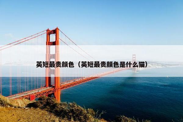 英短最贵颜色（英短最贵颜色是什么猫）