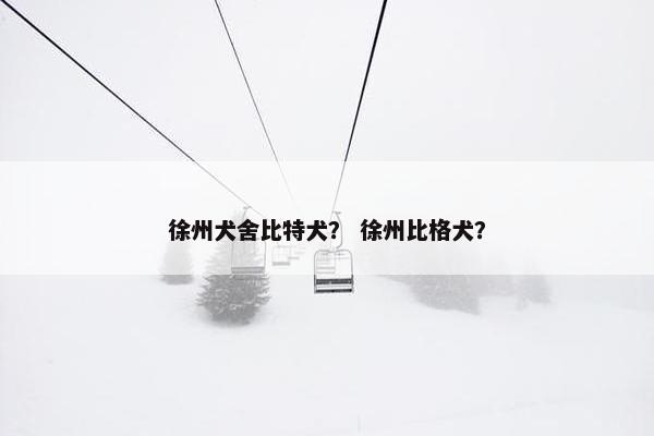 徐州犬舍比特犬？ 徐州比格犬？