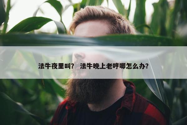 法牛夜里叫？ 法牛晚上老哼唧怎么办？