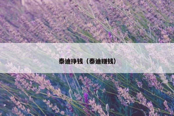 泰迪挣钱（泰迪赚钱）