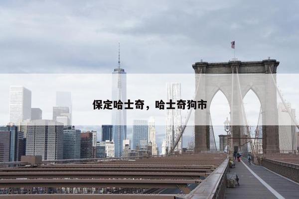 保定哈士奇，哈士奇狗市