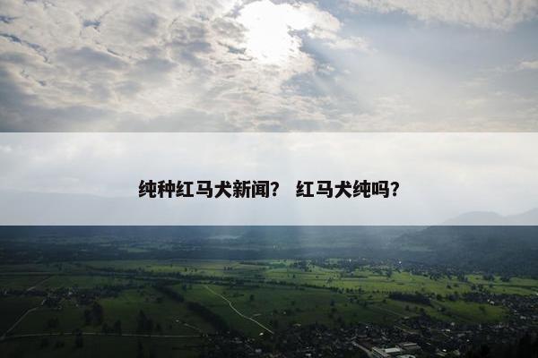 纯种红马犬新闻？ 红马犬纯吗？