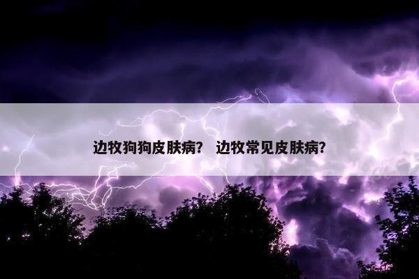 边牧狗狗皮肤病？ 边牧常见皮肤病？