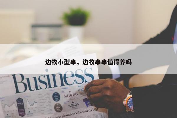 边牧小型串，边牧串串值得养吗