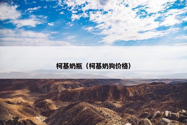 柯基奶瓶（柯基奶狗价格）