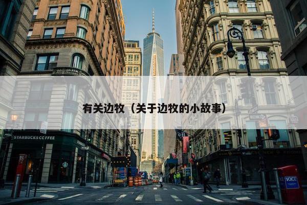 有关边牧（关于边牧的小故事）