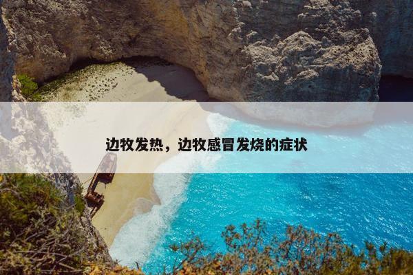 边牧发热，边牧感冒发烧的症状