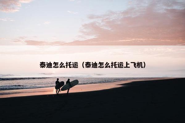 泰迪怎么托运（泰迪怎么托运上飞机）