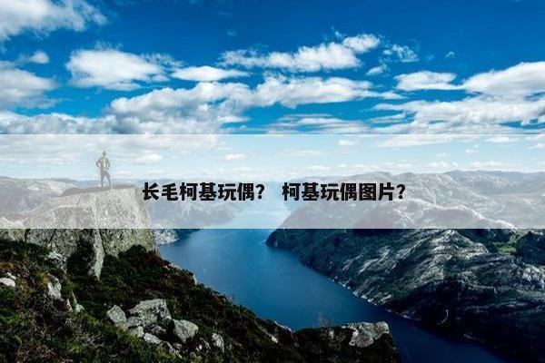 长毛柯基玩偶？ 柯基玩偶图片？