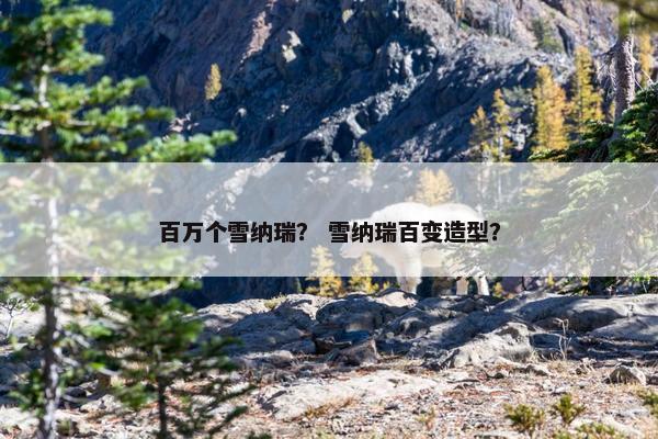 百万个雪纳瑞？ 雪纳瑞百变造型？
