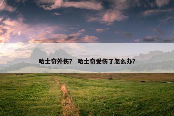 哈士奇外伤？ 哈士奇受伤了怎么办？