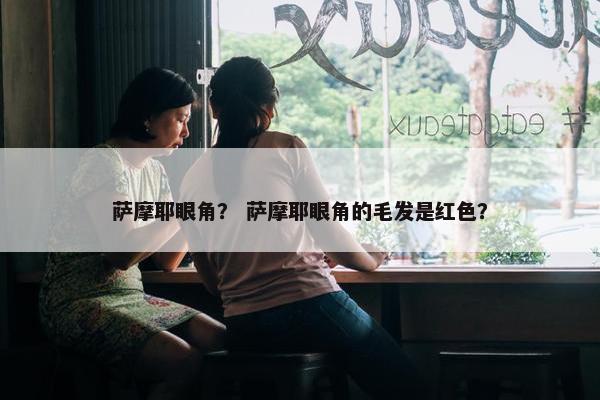 萨摩耶眼角？ 萨摩耶眼角的毛发是红色？
