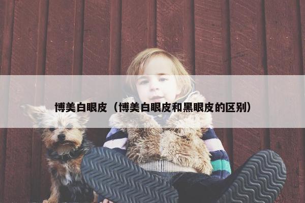 博美白眼皮（博美白眼皮和黑眼皮的区别）
