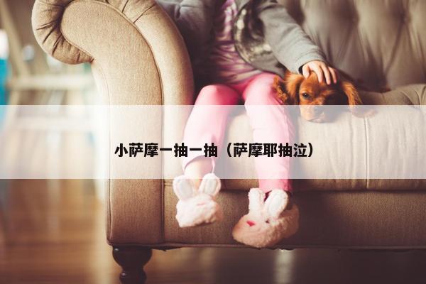 小萨摩一抽一抽（萨摩耶抽泣）